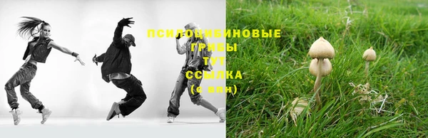 гашик Зеленодольск