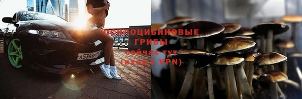 гашик Зеленодольск
