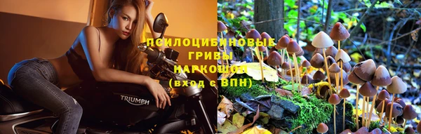гашик Зеленодольск